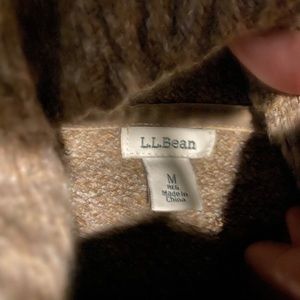 LL Bean Turtleneck Sweater